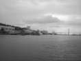 /album/photogallery/savannah-jpg/